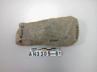 藏品(中型淺腰打製石斧)的圖片